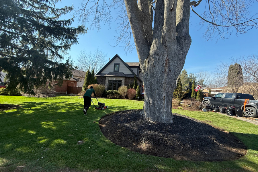 Lawn edging service